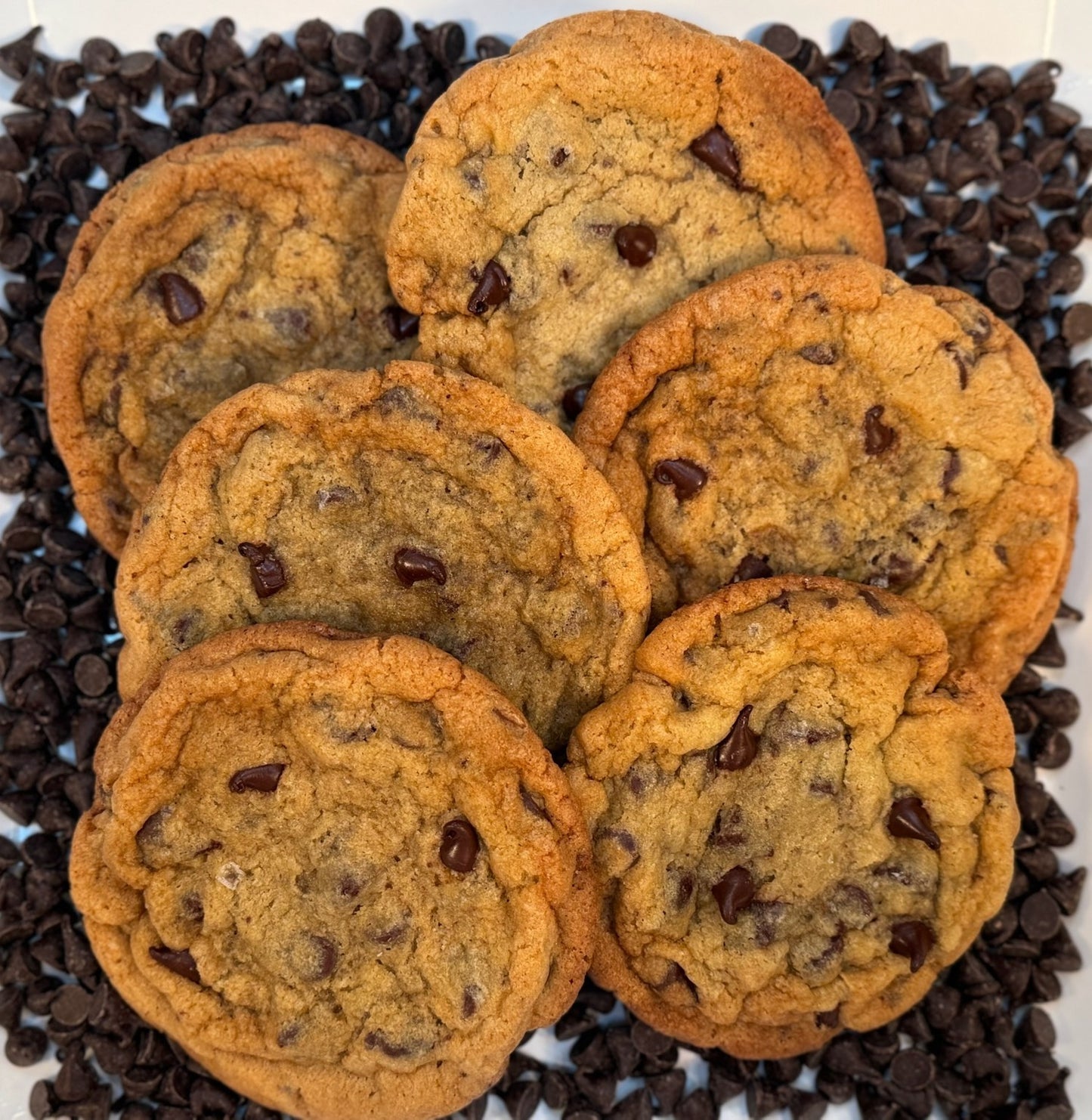 Chocolate Chip Cookie